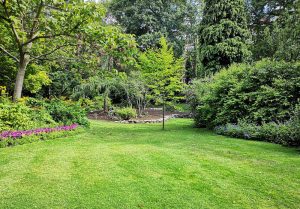 Optimiser l'expérience du jardin à Le Mesnil-Patry